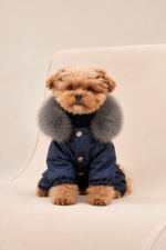 Пуховик Minuit